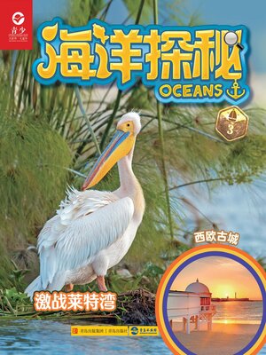 cover image of 激战莱特湾